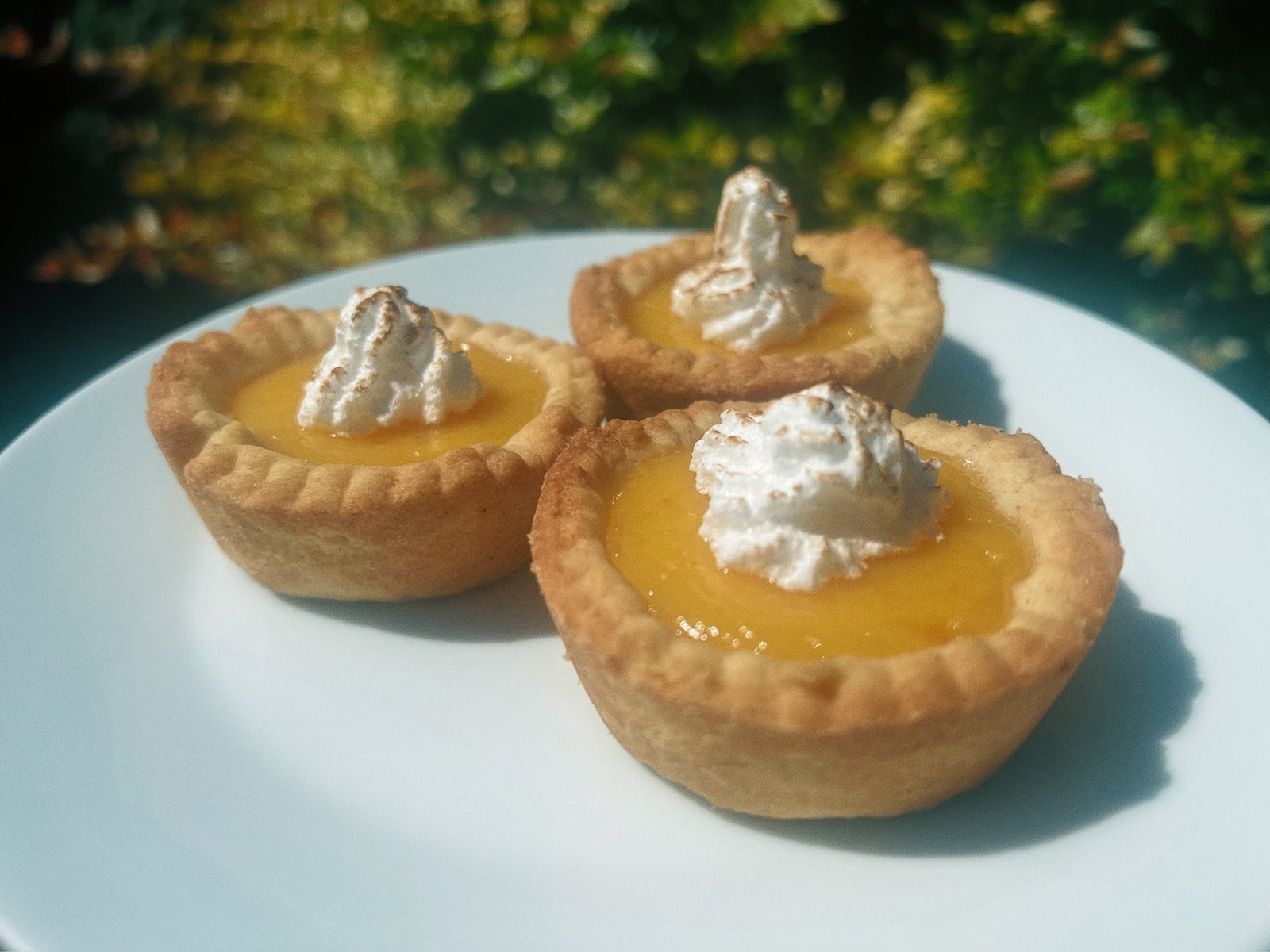 Tartlets, view 1